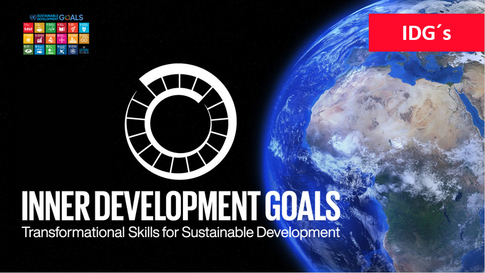 Inner Development Goals Overview